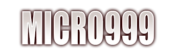 MICRO999 Logo